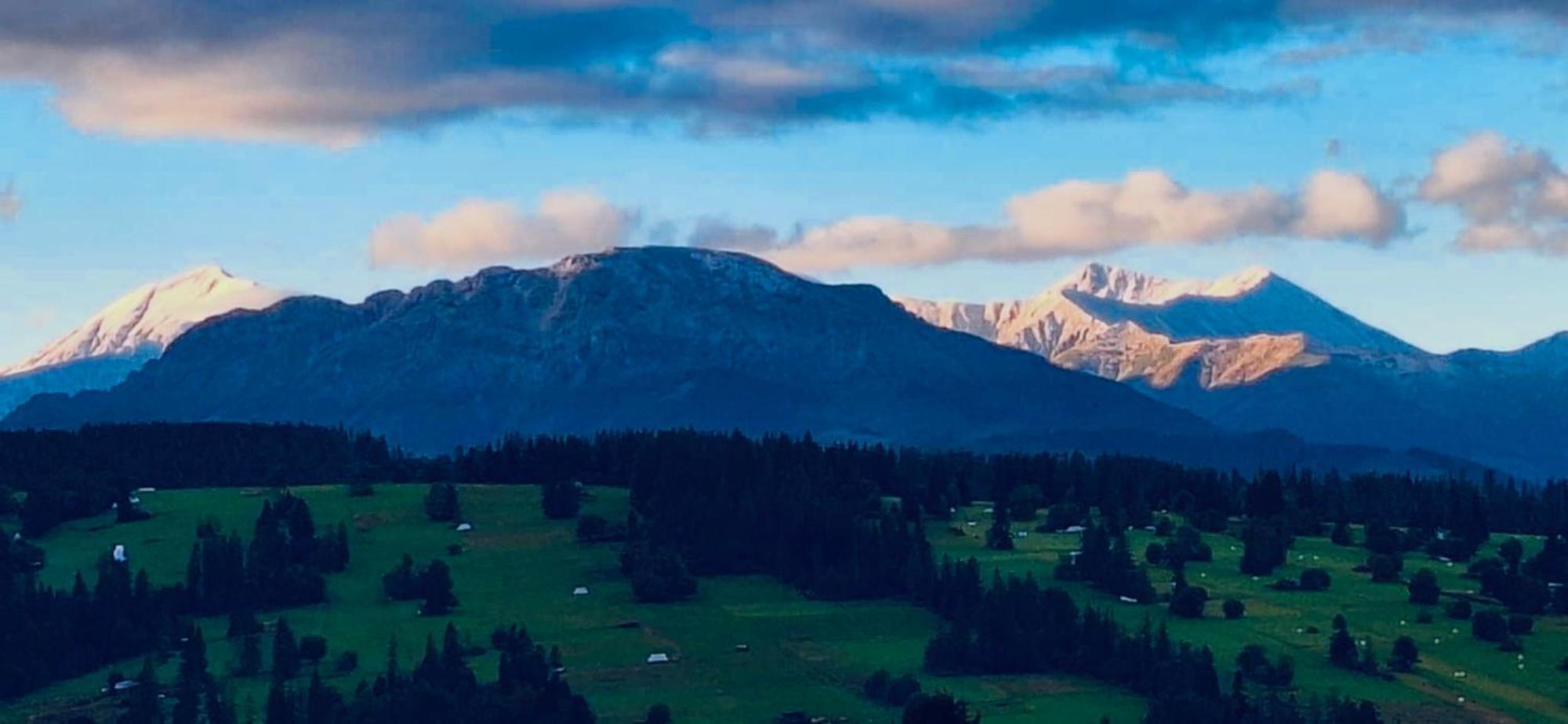 Stella Haus Lägenhet Dzianisz Exteriör bild